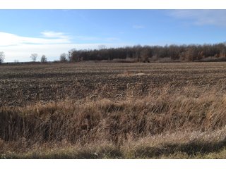 Property photo 5 - LAND AUCTION 275+/- ACRES OFFERED IN 6 TRACTS OR IN COMBINATIONS IN JASPER COUNTY, IN TUESDAY MARCH, 22 AT 6 PM EASTERN (5PM CENTRAL)