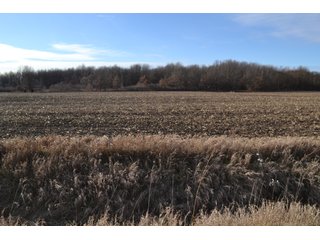 Property photo 4 - LAND AUCTION 275+/- ACRES OFFERED IN 6 TRACTS OR IN COMBINATIONS IN JASPER COUNTY, IN TUESDAY MARCH, 22 AT 6 PM EASTERN (5PM CENTRAL)