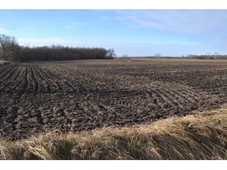 Property photo 6 - LAND AUCTION 275+/- ACRES OFFERED IN 6 TRACTS OR IN COMBINATIONS IN JASPER COUNTY, IN TUESDAY MARCH, 22 AT 6 PM EASTERN (5PM CENTRAL)