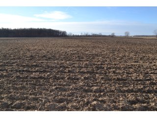 Property photo 7 - LAND AUCTION 275+/- ACRES OFFERED IN 6 TRACTS OR IN COMBINATIONS IN JASPER COUNTY, IN TUESDAY MARCH, 22 AT 6 PM EASTERN (5PM CENTRAL)