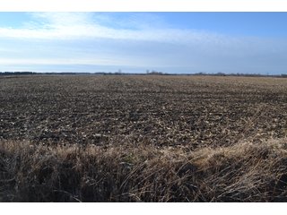 Property photo 8 - LAND AUCTION 275+/- ACRES OFFERED IN 6 TRACTS OR IN COMBINATIONS IN JASPER COUNTY, IN TUESDAY MARCH, 22 AT 6 PM EASTERN (5PM CENTRAL)