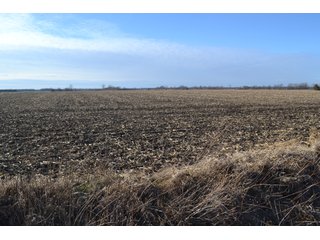 Property photo 9 - LAND AUCTION 275+/- ACRES OFFERED IN 6 TRACTS OR IN COMBINATIONS IN JASPER COUNTY, IN TUESDAY MARCH, 22 AT 6 PM EASTERN (5PM CENTRAL)