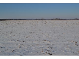 Property photo 10 - LAND AUCTION 275+/- ACRES OFFERED IN 6 TRACTS OR IN COMBINATIONS IN JASPER COUNTY, IN TUESDAY MARCH, 22 AT 6 PM EASTERN (5PM CENTRAL)
