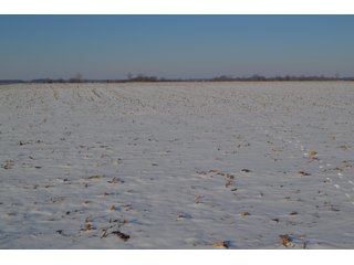 Property photo 11 - LAND AUCTION 275+/- ACRES OFFERED IN 6 TRACTS OR IN COMBINATIONS IN JASPER COUNTY, IN TUESDAY MARCH, 22 AT 6 PM EASTERN (5PM CENTRAL)