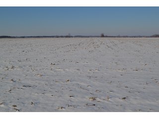 Property photo 12 - LAND AUCTION 275+/- ACRES OFFERED IN 6 TRACTS OR IN COMBINATIONS IN JASPER COUNTY, IN TUESDAY MARCH, 22 AT 6 PM EASTERN (5PM CENTRAL)