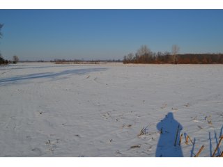 Property photo 13 - LAND AUCTION 275+/- ACRES OFFERED IN 6 TRACTS OR IN COMBINATIONS IN JASPER COUNTY, IN TUESDAY MARCH, 22 AT 6 PM EASTERN (5PM CENTRAL)