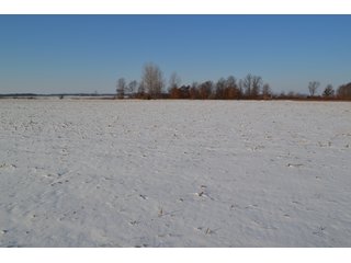Property photo 14 - LAND AUCTION 275+/- ACRES OFFERED IN 6 TRACTS OR IN COMBINATIONS IN JASPER COUNTY, IN TUESDAY MARCH, 22 AT 6 PM EASTERN (5PM CENTRAL)