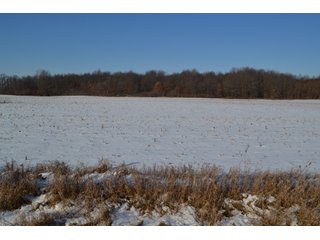 Property photo 15 - LAND AUCTION 275+/- ACRES OFFERED IN 6 TRACTS OR IN COMBINATIONS IN JASPER COUNTY, IN TUESDAY MARCH, 22 AT 6 PM EASTERN (5PM CENTRAL)