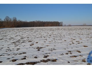 Property photo 16 - LAND AUCTION 275+/- ACRES OFFERED IN 6 TRACTS OR IN COMBINATIONS IN JASPER COUNTY, IN TUESDAY MARCH, 22 AT 6 PM EASTERN (5PM CENTRAL)