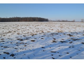 Property photo 17 - LAND AUCTION 275+/- ACRES OFFERED IN 6 TRACTS OR IN COMBINATIONS IN JASPER COUNTY, IN TUESDAY MARCH, 22 AT 6 PM EASTERN (5PM CENTRAL)