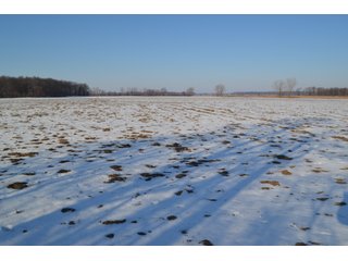 Property photo 18 - LAND AUCTION 275+/- ACRES OFFERED IN 6 TRACTS OR IN COMBINATIONS IN JASPER COUNTY, IN TUESDAY MARCH, 22 AT 6 PM EASTERN (5PM CENTRAL)