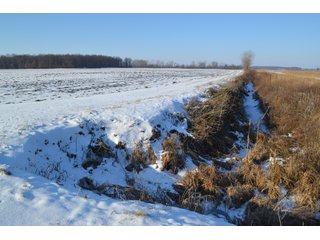 Property photo 20 - LAND AUCTION 275+/- ACRES OFFERED IN 6 TRACTS OR IN COMBINATIONS IN JASPER COUNTY, IN TUESDAY MARCH, 22 AT 6 PM EASTERN (5PM CENTRAL)