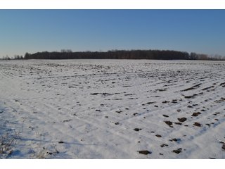 Property photo 21 - LAND AUCTION 275+/- ACRES OFFERED IN 6 TRACTS OR IN COMBINATIONS IN JASPER COUNTY, IN TUESDAY MARCH, 22 AT 6 PM EASTERN (5PM CENTRAL)
