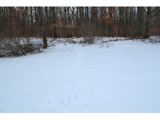 Property photo 39 - LAND AUCTION 275+/- ACRES OFFERED IN 6 TRACTS OR IN COMBINATIONS IN JASPER COUNTY, IN TUESDAY MARCH, 22 AT 6 PM EASTERN (5PM CENTRAL)