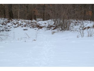 Property photo 40 - LAND AUCTION 275+/- ACRES OFFERED IN 6 TRACTS OR IN COMBINATIONS IN JASPER COUNTY, IN TUESDAY MARCH, 22 AT 6 PM EASTERN (5PM CENTRAL)