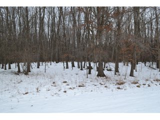 Property photo 43 - LAND AUCTION 275+/- ACRES OFFERED IN 6 TRACTS OR IN COMBINATIONS IN JASPER COUNTY, IN TUESDAY MARCH, 22 AT 6 PM EASTERN (5PM CENTRAL)