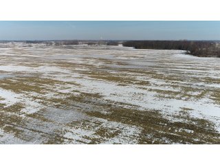 Property photo 24 - LAND AUCTION 275+/- ACRES OFFERED IN 6 TRACTS OR IN COMBINATIONS IN JASPER COUNTY, IN TUESDAY MARCH, 22 AT 6 PM EASTERN (5PM CENTRAL)