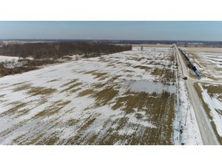 Property photo 33 - LAND AUCTION 275+/- ACRES OFFERED IN 6 TRACTS OR IN COMBINATIONS IN JASPER COUNTY, IN TUESDAY MARCH, 22 AT 6 PM EASTERN (5PM CENTRAL)