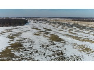 Property photo 30 - LAND AUCTION 275+/- ACRES OFFERED IN 6 TRACTS OR IN COMBINATIONS IN JASPER COUNTY, IN TUESDAY MARCH, 22 AT 6 PM EASTERN (5PM CENTRAL)