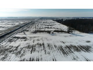 Property photo 35 - LAND AUCTION 275+/- ACRES OFFERED IN 6 TRACTS OR IN COMBINATIONS IN JASPER COUNTY, IN TUESDAY MARCH, 22 AT 6 PM EASTERN (5PM CENTRAL)