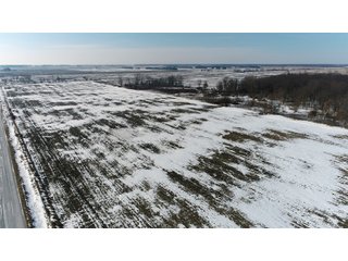 Property photo 25 - LAND AUCTION 275+/- ACRES OFFERED IN 6 TRACTS OR IN COMBINATIONS IN JASPER COUNTY, IN TUESDAY MARCH, 22 AT 6 PM EASTERN (5PM CENTRAL)