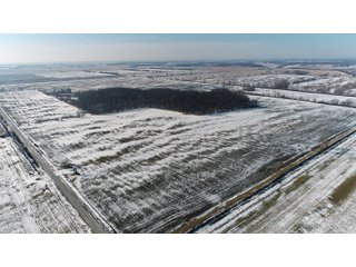 Property photo 26 - LAND AUCTION 275+/- ACRES OFFERED IN 6 TRACTS OR IN COMBINATIONS IN JASPER COUNTY, IN TUESDAY MARCH, 22 AT 6 PM EASTERN (5PM CENTRAL)