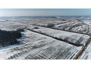 Property photo 27 - LAND AUCTION 275+/- ACRES OFFERED IN 6 TRACTS OR IN COMBINATIONS IN JASPER COUNTY, IN TUESDAY MARCH, 22 AT 6 PM EASTERN (5PM CENTRAL)
