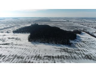 Property photo 28 - LAND AUCTION 275+/- ACRES OFFERED IN 6 TRACTS OR IN COMBINATIONS IN JASPER COUNTY, IN TUESDAY MARCH, 22 AT 6 PM EASTERN (5PM CENTRAL)