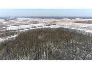 Property photo 29 - LAND AUCTION 275+/- ACRES OFFERED IN 6 TRACTS OR IN COMBINATIONS IN JASPER COUNTY, IN TUESDAY MARCH, 22 AT 6 PM EASTERN (5PM CENTRAL)