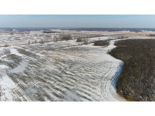 Property photo 31 - LAND AUCTION 275+/- ACRES OFFERED IN 6 TRACTS OR IN COMBINATIONS IN JASPER COUNTY, IN TUESDAY MARCH, 22 AT 6 PM EASTERN (5PM CENTRAL)