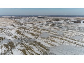Property photo 32 - LAND AUCTION 275+/- ACRES OFFERED IN 6 TRACTS OR IN COMBINATIONS IN JASPER COUNTY, IN TUESDAY MARCH, 22 AT 6 PM EASTERN (5PM CENTRAL)