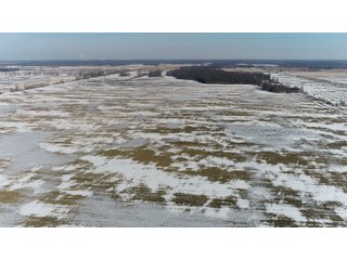 Property photo 34 - LAND AUCTION 275+/- ACRES OFFERED IN 6 TRACTS OR IN COMBINATIONS IN JASPER COUNTY, IN TUESDAY MARCH, 22 AT 6 PM EASTERN (5PM CENTRAL)
