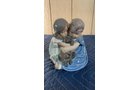 Property photo 119 - TIMED ONLINE ONLY - PERSONAL PROPERTY AUCTION - HOAGLAND, IN