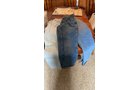 Property photo 153 - TIMED ONLINE ONLY - PERSONAL PROPERTY AUCTION - HOAGLAND, IN
