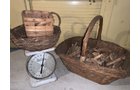 Property photo 254 - TIMED ONLINE ONLY - PERSONAL PROPERTY AUCTION - HOAGLAND, IN