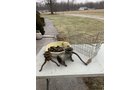 Property photo 277 - TIMED ONLINE ONLY - PERSONAL PROPERTY AUCTION - HOAGLAND, IN