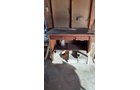Property photo 296 - TIMED ONLINE ONLY - PERSONAL PROPERTY AUCTION - HOAGLAND, IN