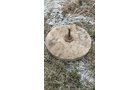 Property photo 314 - TIMED ONLINE ONLY - PERSONAL PROPERTY AUCTION - HOAGLAND, IN
