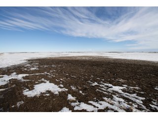 Tract 1 - NORTH DAKOTA LAND AUCTION 480+/- ACRES OFFERED IN 3 TRACTS OR IN COMBINATIONS IN STUTSMAN COUNTY, ND