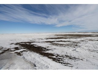Tract 1 - NORTH DAKOTA LAND AUCTION 480+/- ACRES OFFERED IN 3 TRACTS OR IN COMBINATIONS IN STUTSMAN COUNTY, ND
