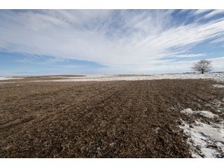 Tract 3 - NORTH DAKOTA LAND AUCTION 480+/- ACRES OFFERED IN 3 TRACTS OR IN COMBINATIONS IN STUTSMAN COUNTY, ND