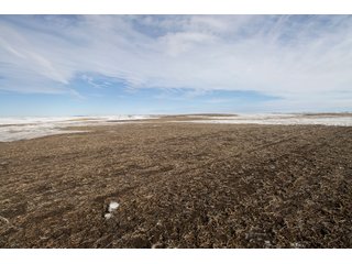 Tract 3 - NORTH DAKOTA LAND AUCTION 480+/- ACRES OFFERED IN 3 TRACTS OR IN COMBINATIONS IN STUTSMAN COUNTY, ND