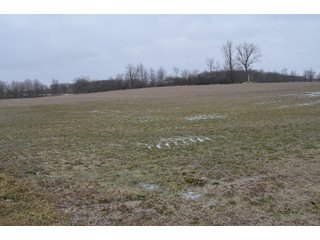 Property photo 46 - MAJOR OHIO LAND AUCTION 710+/- ACRES OFFERED IN 11 TRACTS OR IN COMBINATIONS IN DEFIANCE AND PAULDING COUNTIES, OH