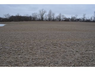 Property photo 49 - MAJOR OHIO LAND AUCTION 710+/- ACRES OFFERED IN 11 TRACTS OR IN COMBINATIONS IN DEFIANCE AND PAULDING COUNTIES, OH