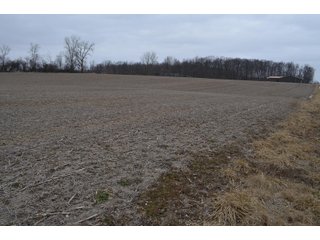 Property photo 50 - MAJOR OHIO LAND AUCTION 710+/- ACRES OFFERED IN 11 TRACTS OR IN COMBINATIONS IN DEFIANCE AND PAULDING COUNTIES, OH