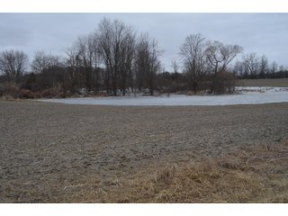 Property photo 52 - MAJOR OHIO LAND AUCTION 710+/- ACRES OFFERED IN 11 TRACTS OR IN COMBINATIONS IN DEFIANCE AND PAULDING COUNTIES, OH