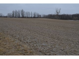 Property photo 54 - MAJOR OHIO LAND AUCTION 710+/- ACRES OFFERED IN 11 TRACTS OR IN COMBINATIONS IN DEFIANCE AND PAULDING COUNTIES, OH