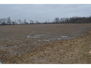 Property photo 55 - MAJOR OHIO LAND AUCTION 710+/- ACRES OFFERED IN 11 TRACTS OR IN COMBINATIONS IN DEFIANCE AND PAULDING COUNTIES, OH