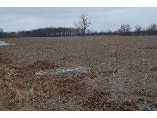 Property photo 56 - MAJOR OHIO LAND AUCTION 710+/- ACRES OFFERED IN 11 TRACTS OR IN COMBINATIONS IN DEFIANCE AND PAULDING COUNTIES, OH