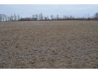 Property photo 58 - MAJOR OHIO LAND AUCTION 710+/- ACRES OFFERED IN 11 TRACTS OR IN COMBINATIONS IN DEFIANCE AND PAULDING COUNTIES, OH